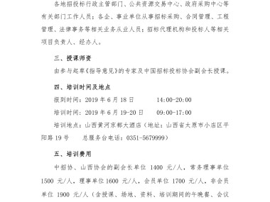 构建高效项目推进蓝图，技术咨询实施大纲深度解析