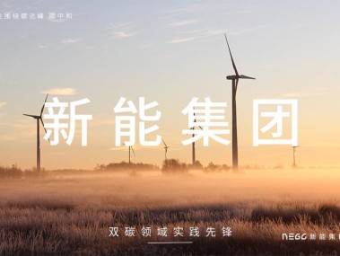 绿色未来领航者，新能源技术咨询公司助力可持续发展