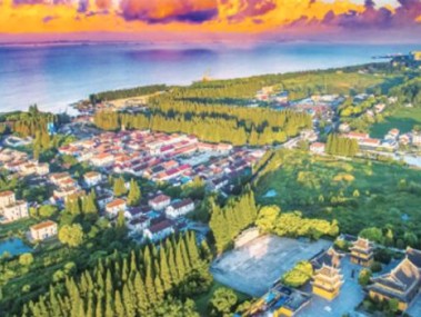 崇明区技术咨询介绍中心,企业创新发展核心支撑平台
