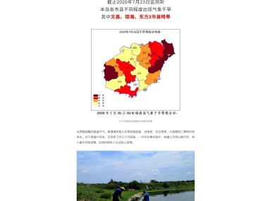 解析养殖技术咨询税率政策，推动行业转型升级新篇章