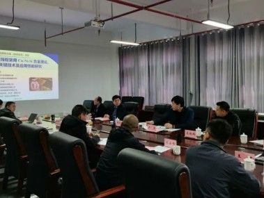 铜矿产业高质量发展,铜矿开发工艺技术咨询引领新篇章
