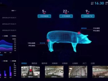 技术咨询推动养殖业转型升级新篇章
