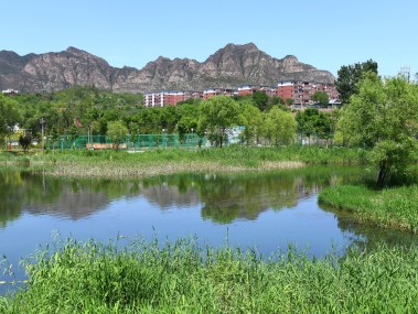 绿色赋能,北京生态技术咨询助力生态文明建设新篇章