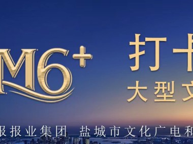 盐城企业数字化升级，网络营销技术助力转型新篇章