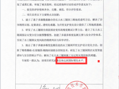技术咨询项目成果解析与未来趋势洞察报告