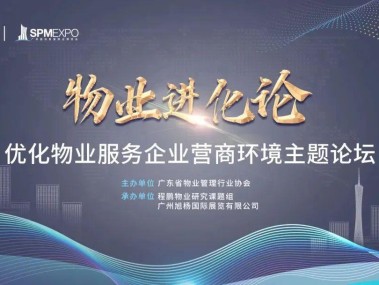 安徽模型技术咨询市场深度解析，趋势洞察与未来机遇