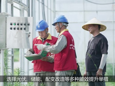 Greeplum技术咨询公司,赋能企业数字化转型,领跑行业潮流