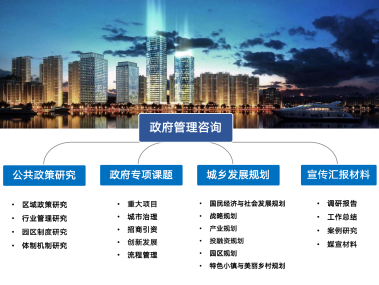 公对公技术咨询赋能，提升政府决策效率与服务品质新篇章