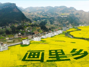 古蔺消防技术咨询，筑牢生命防线，守护家园安全