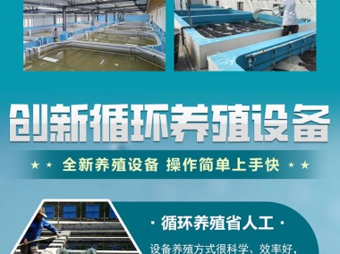 提升对虾养殖效益,技术咨询助力产量与品质双丰收