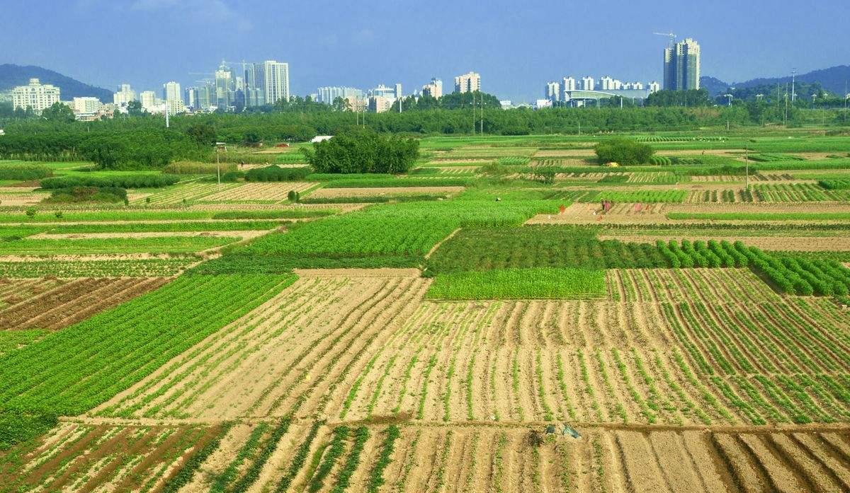 助力企业腾飞，土地技术咨询引领资源革新之路,随着我国经济的迅猛发展，土地资源已成为推动企业成长的关键因素，在这一背景下，土地技术咨询公司应运而生，致力于为企业提供全方位的土地资源咨询服务，助力企业迈向可持续发展的道路，本文将深入剖析土地技术咨询公司的业务领域、服务优势及其在我国土地市场中的关键作用。,土地技术咨询公司,技术咨询,第1张