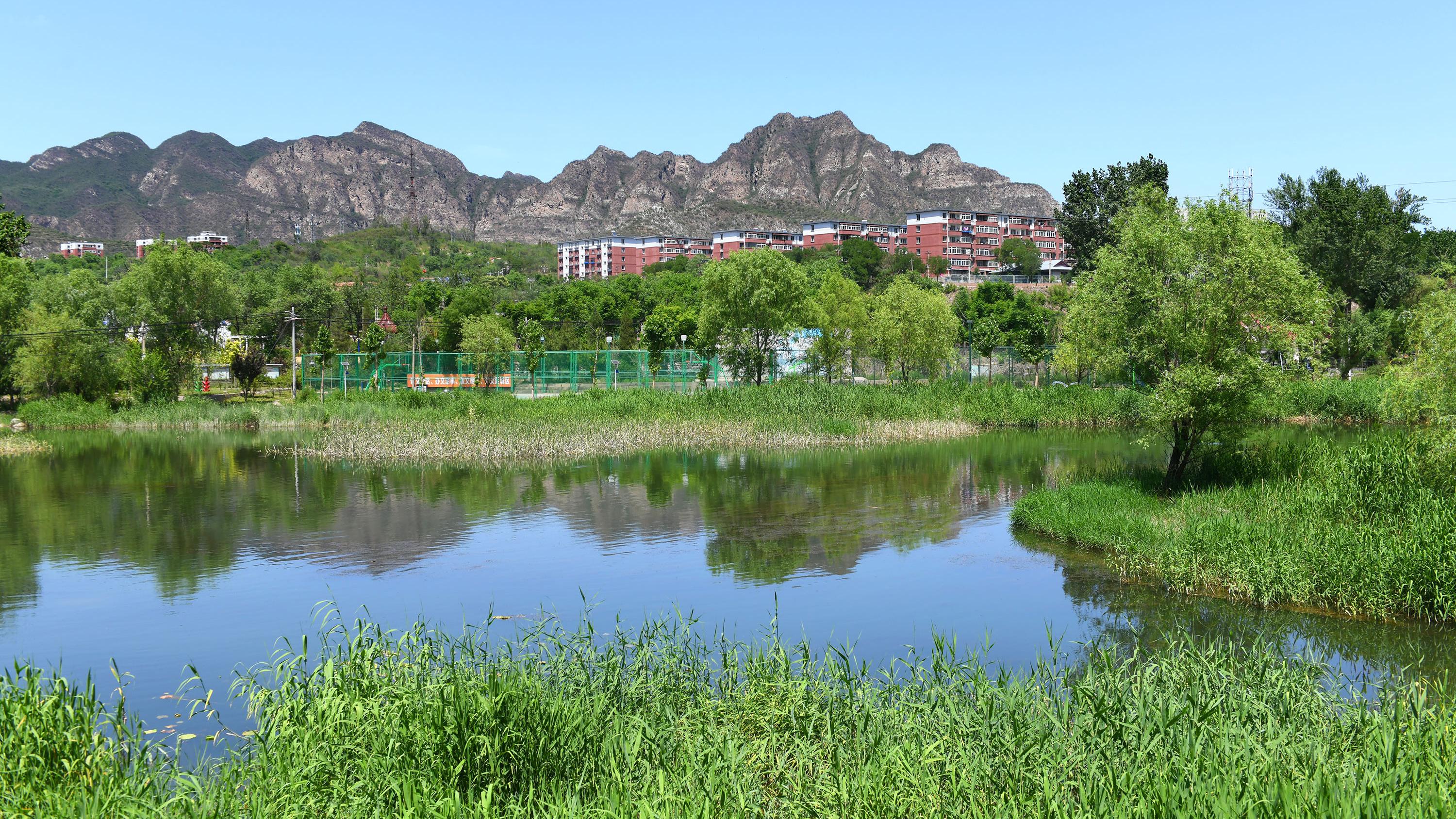 绿色赋能，北京生态技术咨询助力生态文明建设新篇章,随着我国经济迅猛发展，生态环境问题日益突出，面对这一挑战，北京生态技术咨询公司应运而生，本文将深入探讨北京生态技术咨询的背景、服务内容、应用领域等，旨在为我国生态文明建设提供有益的参考。,北京生态技术咨询,技术咨询,第1张