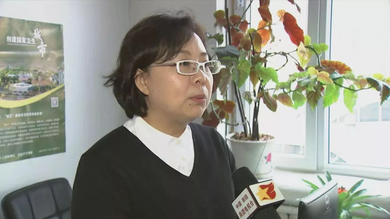 石河子，红利技术咨询引领企业飞跃发展新篇章,在我国广袤的西部土地上，坐落着一座被赞誉为军垦新城的璀璨明珠——石河子，这座城市不仅拥有丰饶的自然资源和深厚的文化积淀，更是国家西部大开发战略中一颗耀眼的重要基地，近年来，随着石河子经济的迅猛发展，众多企业如同雨后春笋般涌现，为助力企业把握发展先机，石河子红利技术咨询应运而生，成为推动企业飞跃发展的强劲引擎。,石河子红利技术咨询,技术咨询,技术咨询服务,技术咨询公司,第1张